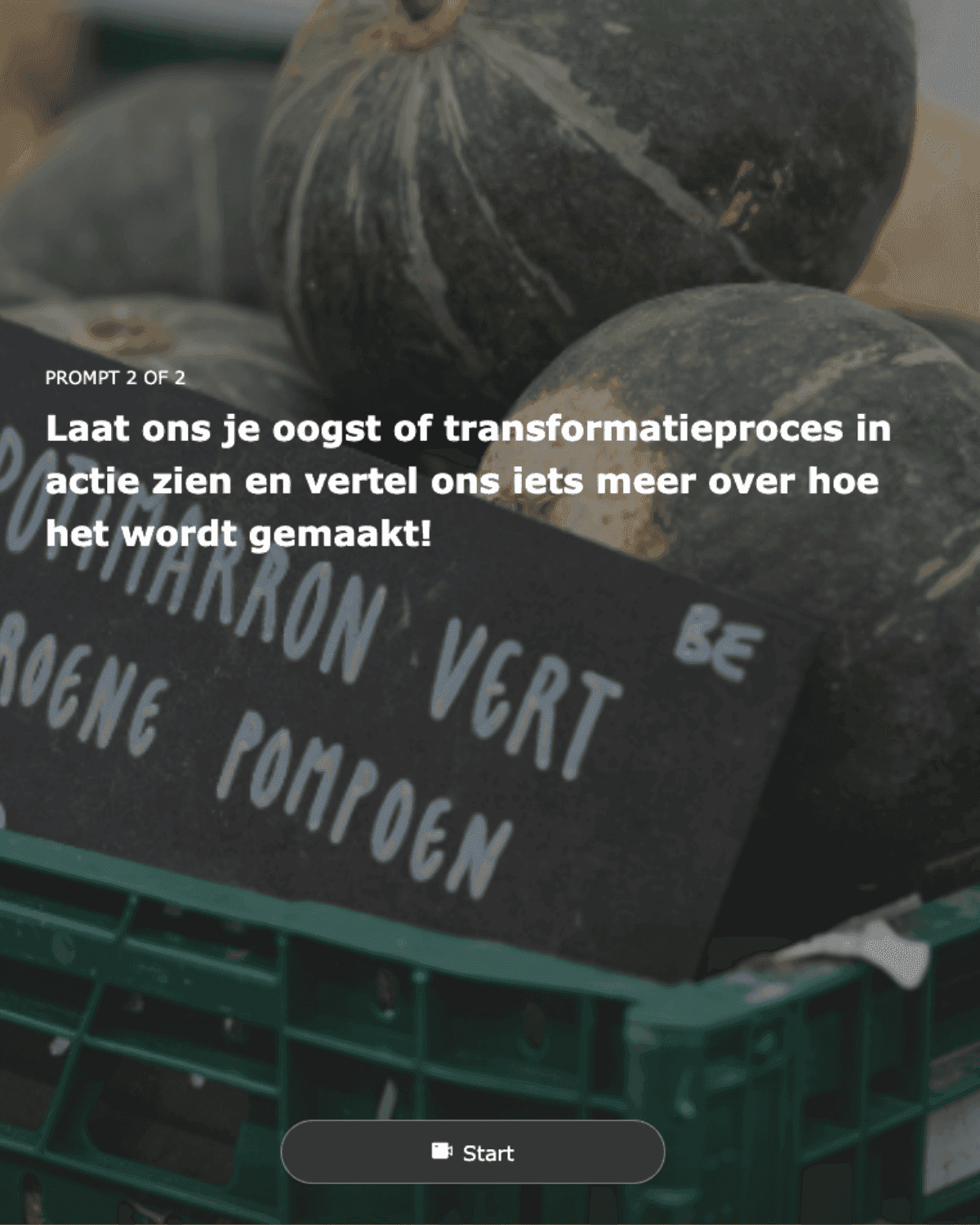 In their own language: Dutch or French, authentic and clear.